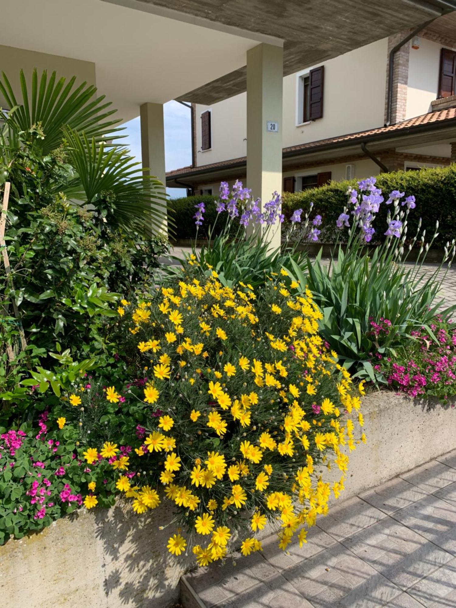 B&B La Salina Cannuzzo Kültér fotó